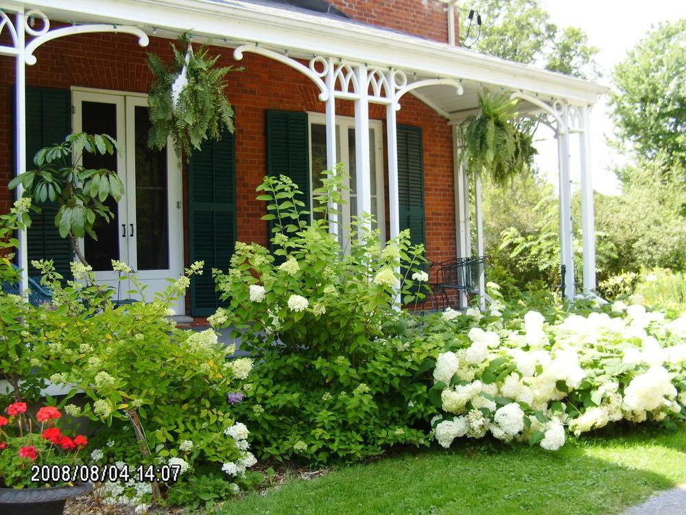Mackechnie House Bed and Breakfast Cobourg Esterno foto